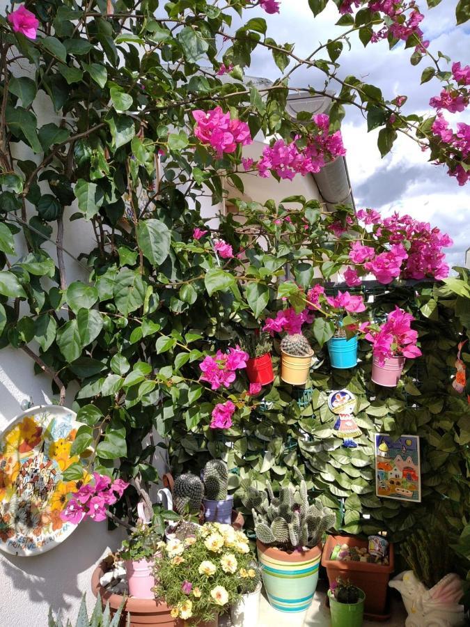 Ca Mea Daire Alberobello Dış mekan fotoğraf